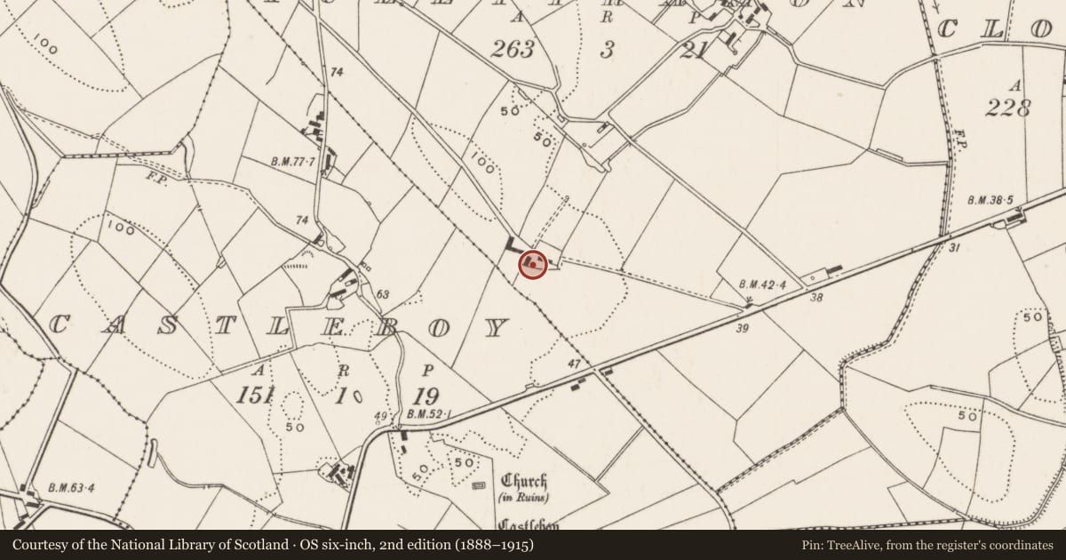 Ordnance Survey six-inch map, 2nd edition (1888–1915) covering the location of ’The Hill Farm’, Tullytramon, Ards and North Down, with a pin at the register's coordinates