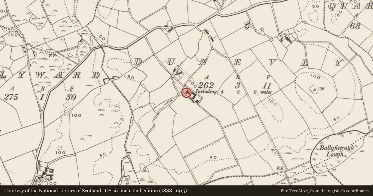 Ordnance Survey six-inch map, 2nd edition (1888–1915) covering the location of 11 Dunevly Road, Ards and North Down, with a pin at the register's coordinates