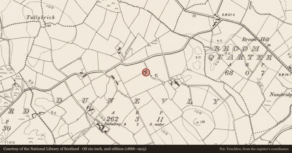 Ordnance Survey six-inch map, 2nd edition (1888–1915) covering the location of 19 Dunevly Road, Ards and North Down, with a pin at the register's coordinates