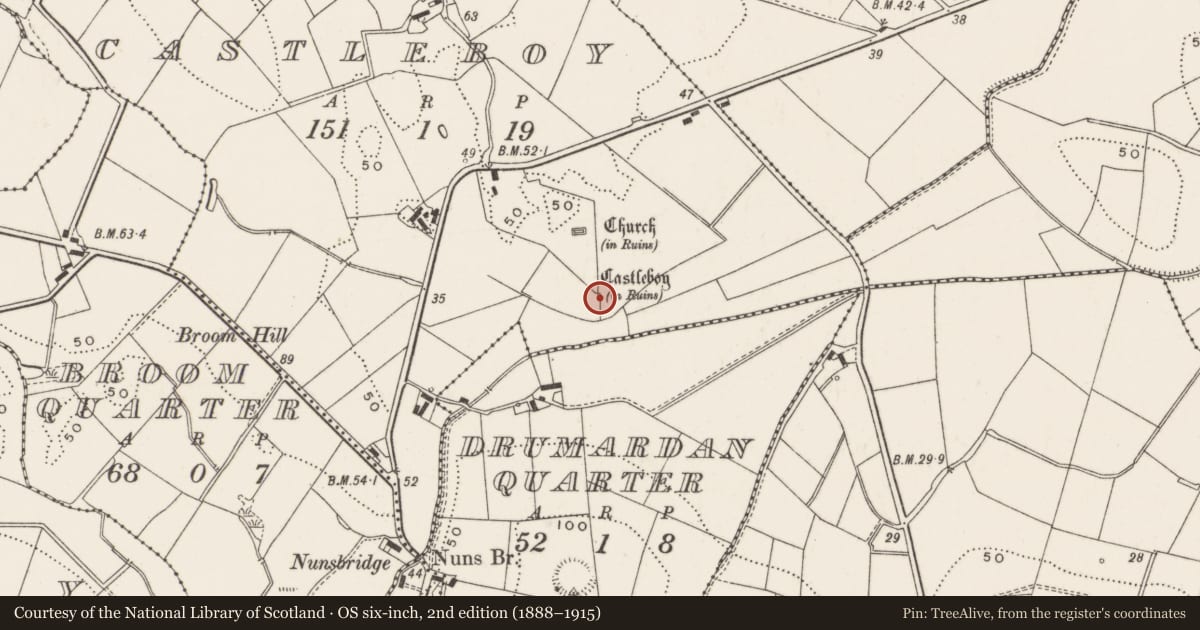 Ordnance Survey six-inch map, 2nd edition (1888–1915) covering the location of Castleboy, Ards and North Down, with a pin at the register's coordinates