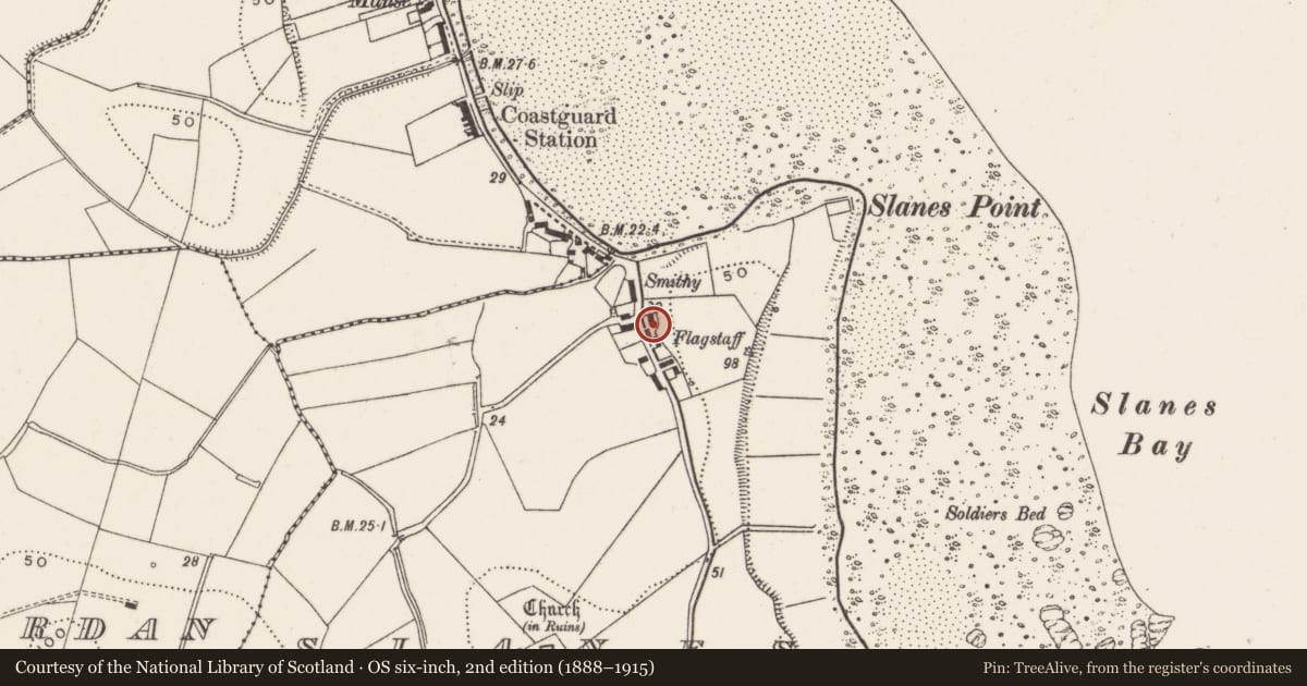 Ordnance Survey six-inch map, 2nd edition (1888–1915) covering the location of 33 Ardminnan Road, Slanes, Ards and North Down, with a pin at the register's coordinates