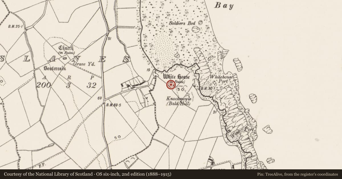 Ordnance Survey six-inch map, 2nd edition (1888–1915) covering the location of "White House", Ballyspurge, Ards and North Down, with a pin at the register's coordinates