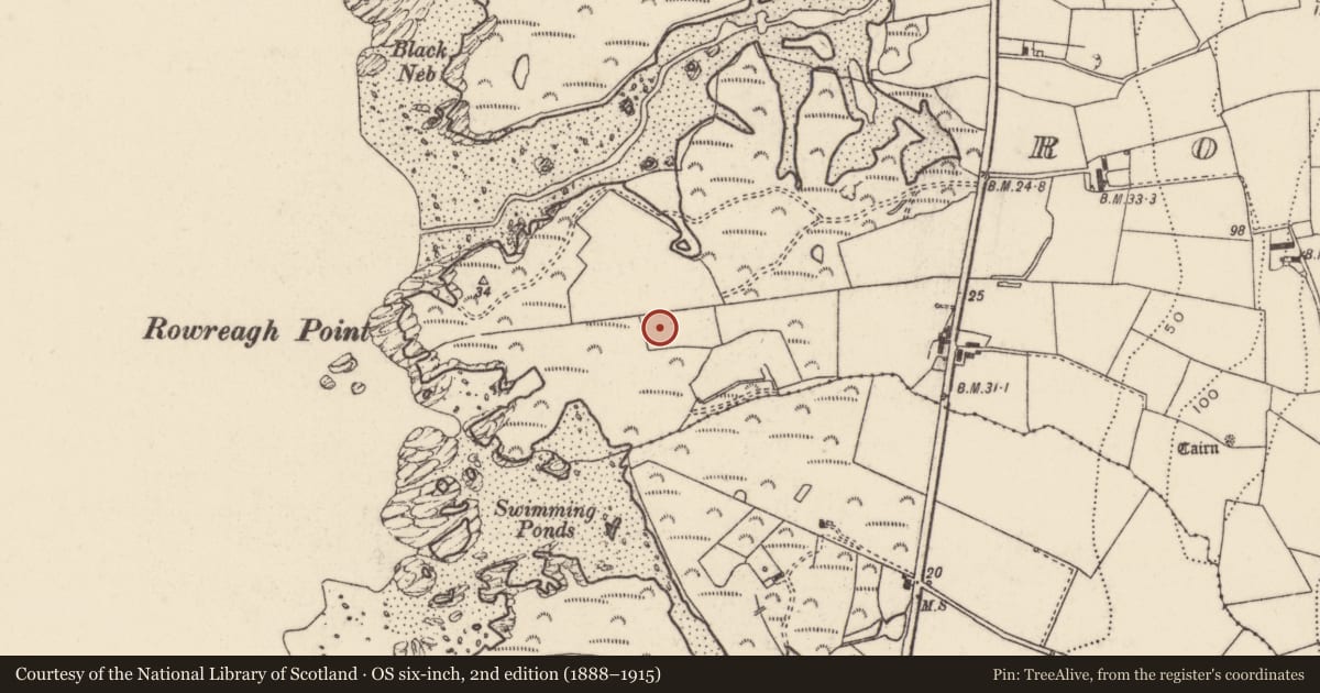Ordnance Survey six-inch map, 2nd edition (1888–1915) covering the location of 13 Rowreagh Road, Ards and North Down, with a pin at the register's coordinates