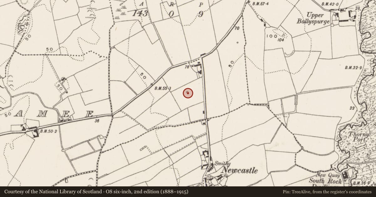 Ordnance Survey six-inch map, 2nd edition (1888–1915) covering the location of Lime Kiln, Ardminnan, Ards and North Down, with a pin at the register's coordinates