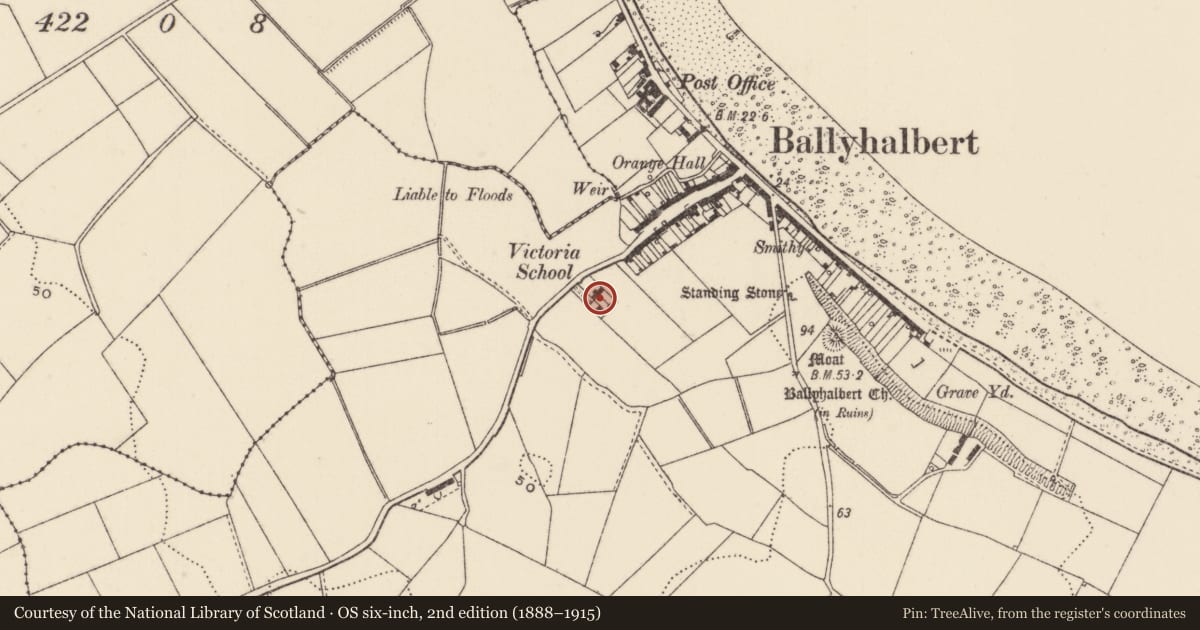 Ordnance Survey six-inch map, 2nd edition (1888–1915) covering the location of Victoria School, Ballyhalbert, Ards and North Down, with a pin at the register's coordinates