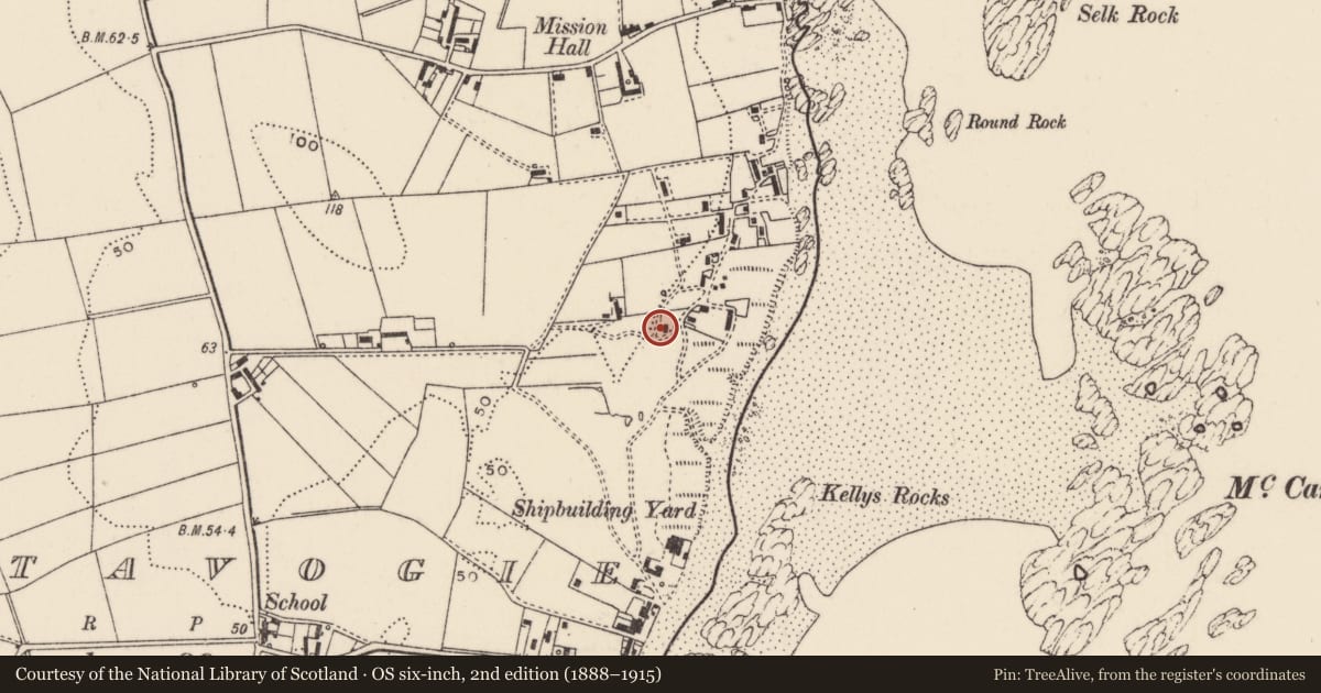 Ordnance Survey six-inch map, 2nd edition (1888–1915) covering the location of 40 Springfield Road, Portavogie, Ards and North Down, with a pin at the register's coordinates