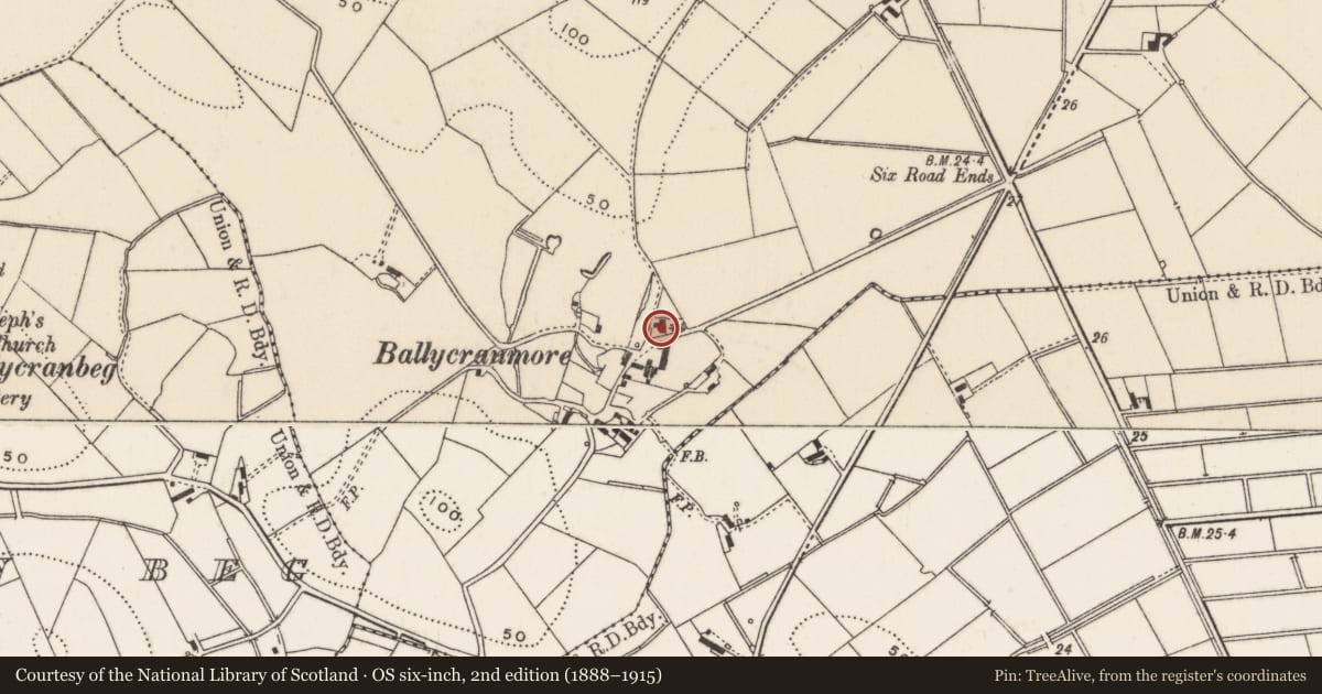 Ordnance Survey six-inch map, 2nd edition (1888–1915) covering the location of 5 Ballycranmore Road, Ards and North Down, with a pin at the register's coordinates