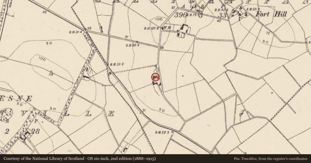Ordnance Survey six-inch map, 2nd edition (1888–1915) covering the location of Ballygraffan House, Ards and North Down, with a pin at the register's coordinates