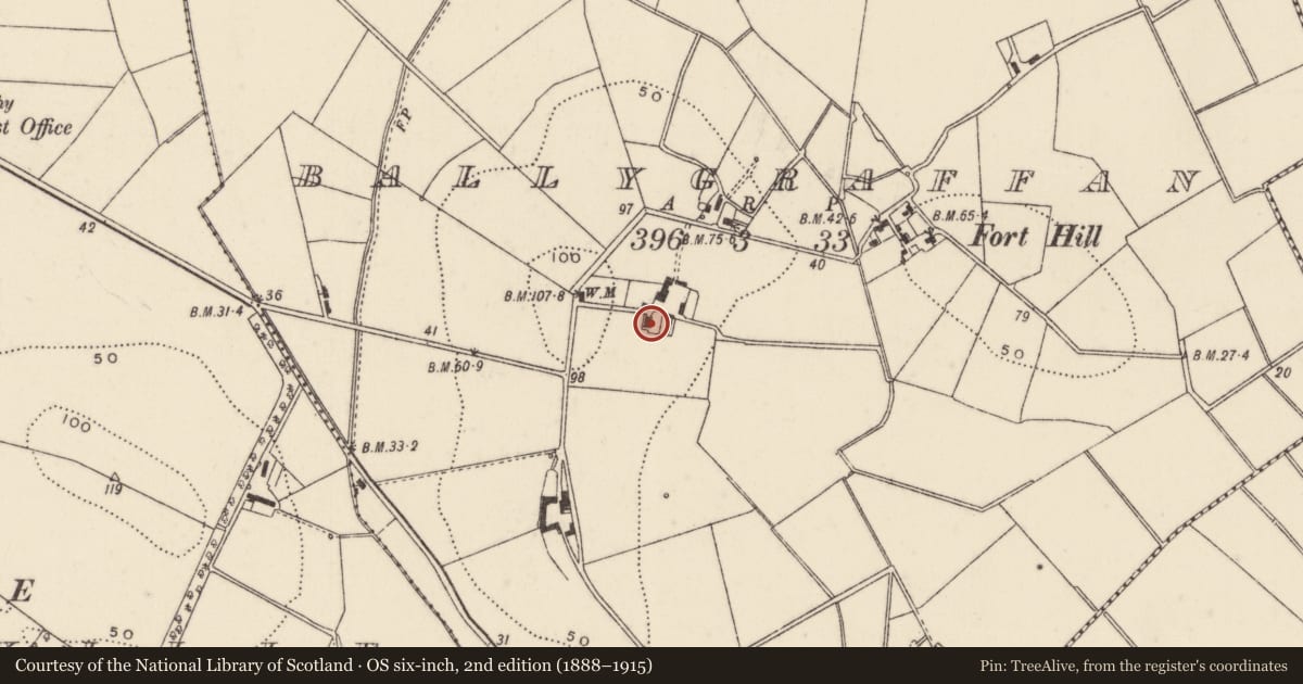Ordnance Survey six-inch map, 2nd edition (1888–1915) covering the location of Rosevale House, Ballygraffan, Ards and North Down, with a pin at the register's coordinates