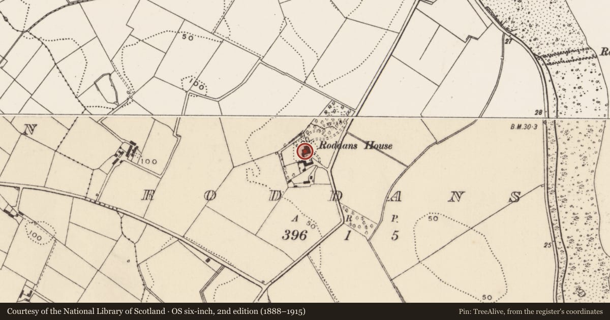 Ordnance Survey six-inch map, 2nd edition (1888–1915) covering the location of Roddans House, Ards and North Down, with a pin at the register's coordinates