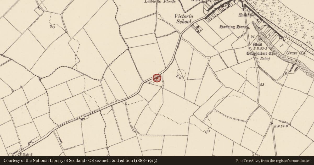 Ordnance Survey six-inch map, 2nd edition (1888–1915) covering the location of Cottages, Ballyhalbert, Ards and North Down, with a pin at the register's coordinates