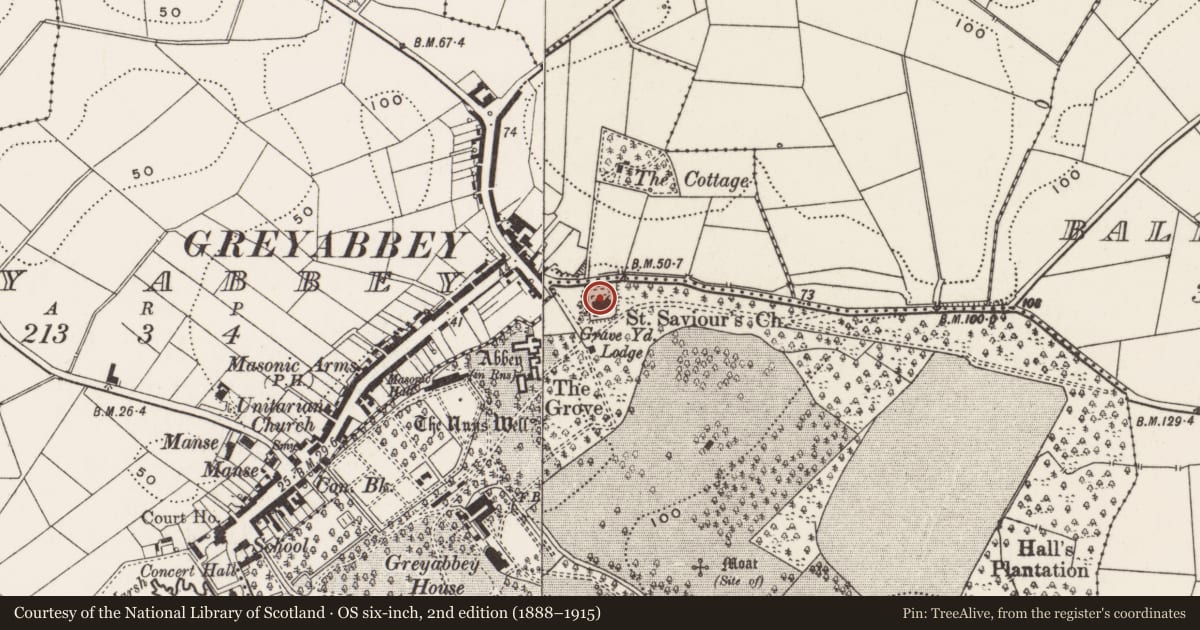 Ordnance Survey six-inch map, 2nd edition (1888–1915) covering the location of St. Saviour’s C of I Parish Church, Greyabbey, Ards and North Down, with a pin at the register's coordinates
