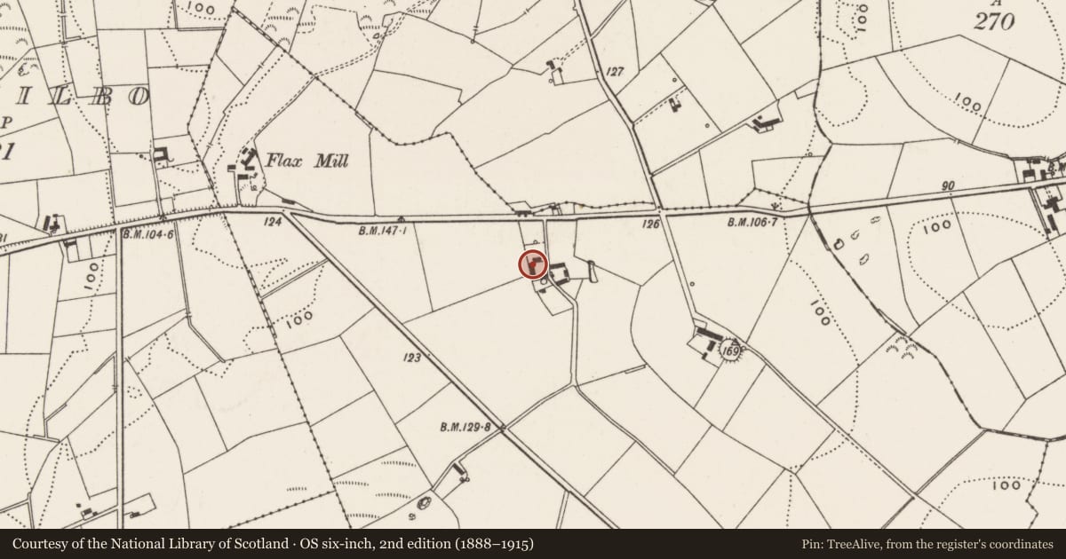 Ordnance Survey six-inch map, 2nd edition (1888–1915) covering the location of 17 Ballywalter Road, Black Abbey, Ards and North Down, with a pin at the register's coordinates