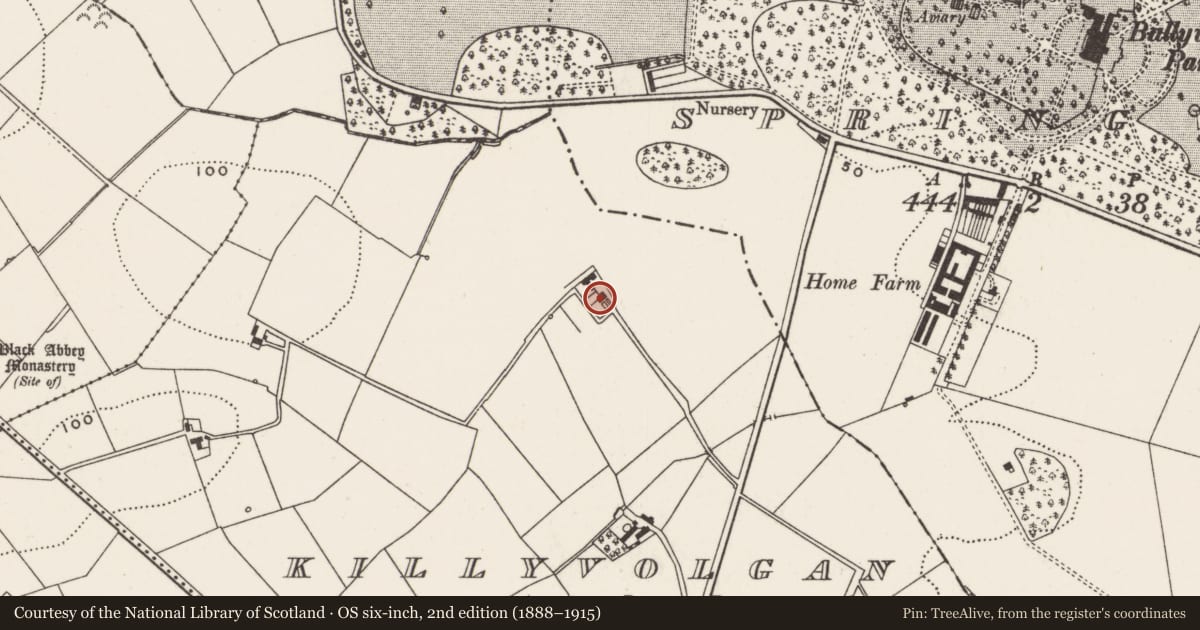 Ordnance Survey six-inch map, 2nd edition (1888–1915) covering the location of ’Hillview’, Killyvolgan, Ards and North Down, with a pin at the register's coordinates
