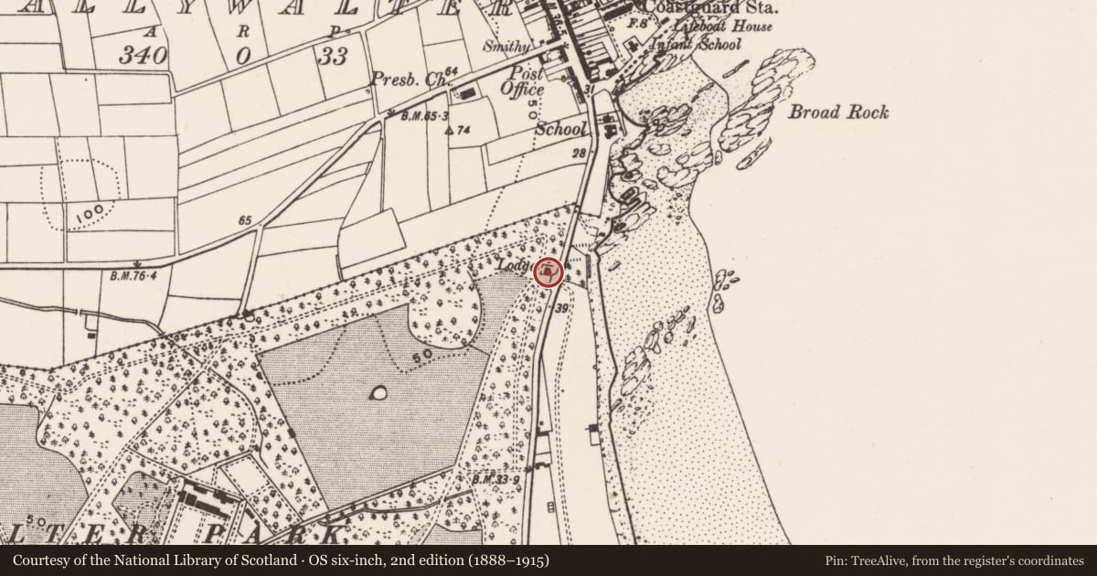 Ordnance Survey six-inch map, 2nd edition (1888–1915) covering the location of East gate lodge & entrance gates, Springvale, Ards and North Down, with a pin at the register's coordinates