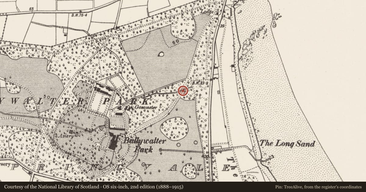 Ordnance Survey six-inch map, 2nd edition (1888–1915) covering the location of Road bridge and screen, Springvale, Ards and North Down, with a pin at the register's coordinates