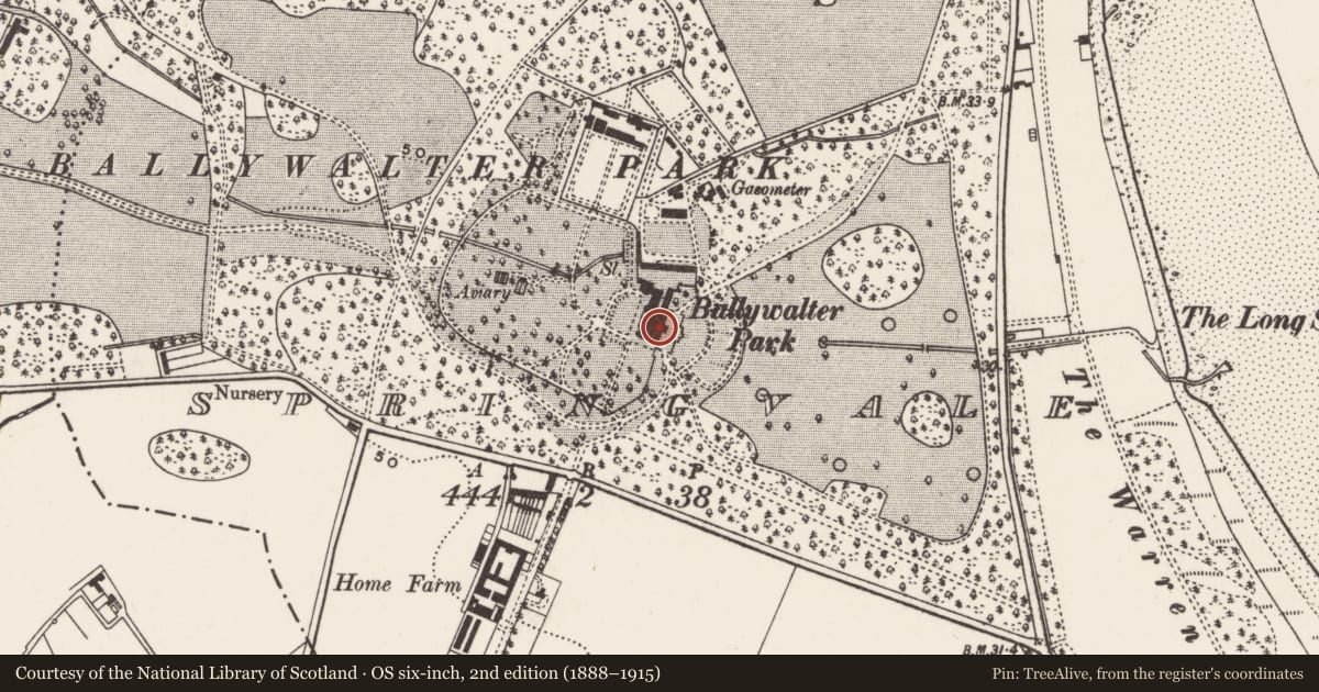 Ordnance Survey six-inch map, 2nd edition (1888–1915) covering the location of Ballywalter Park House & garden walling, Springvale, Ards and North Down, with a pin at the register's coordinates