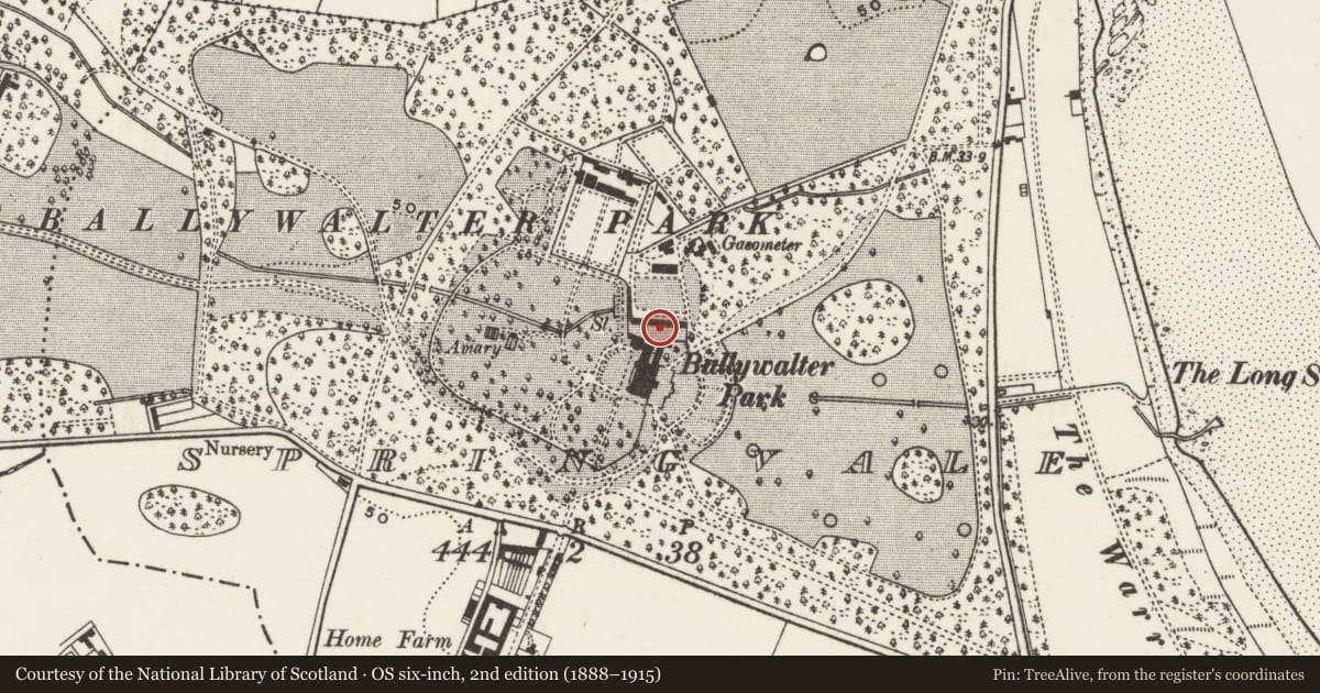 Ordnance Survey six-inch map, 2nd edition (1888–1915) covering the location of Stableyard, Springvale, Ards and North Down, with a pin at the register's coordinates