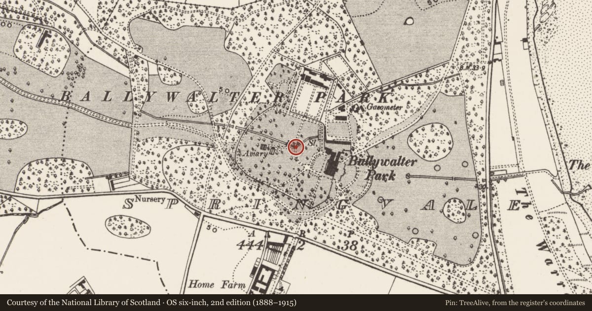 Ordnance Survey six-inch map, 2nd edition (1888–1915) covering the location of Bridge on garden path, Springvale, Ards and North Down, with a pin at the register's coordinates