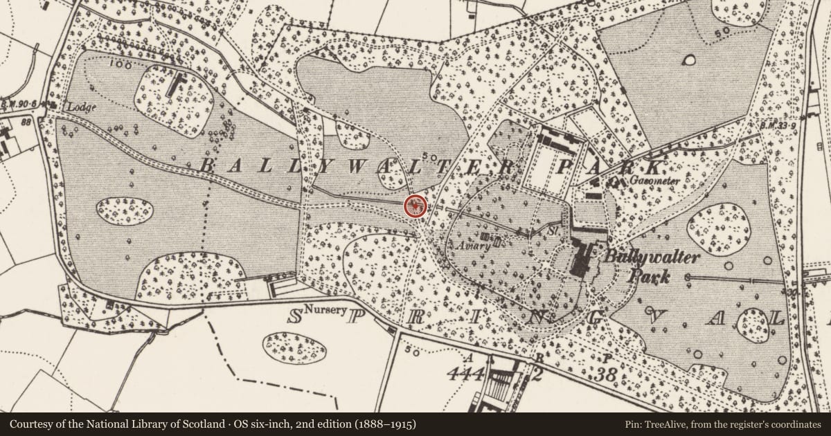 Ordnance Survey six-inch map, 2nd edition (1888–1915) covering the location of Bridge on estate track, Springvale, Ards and North Down, with a pin at the register's coordinates