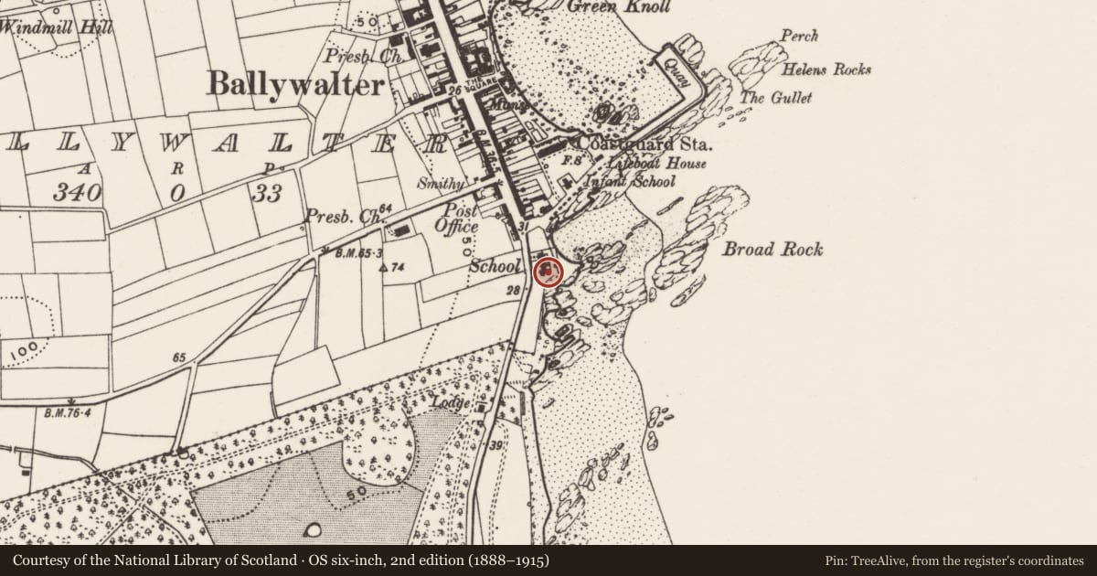 Ordnance Survey six-inch map, 2nd edition (1888–1915) covering the location of C of I Parish Hall, Ballywalter, Ards and North Down, with a pin at the register's coordinates