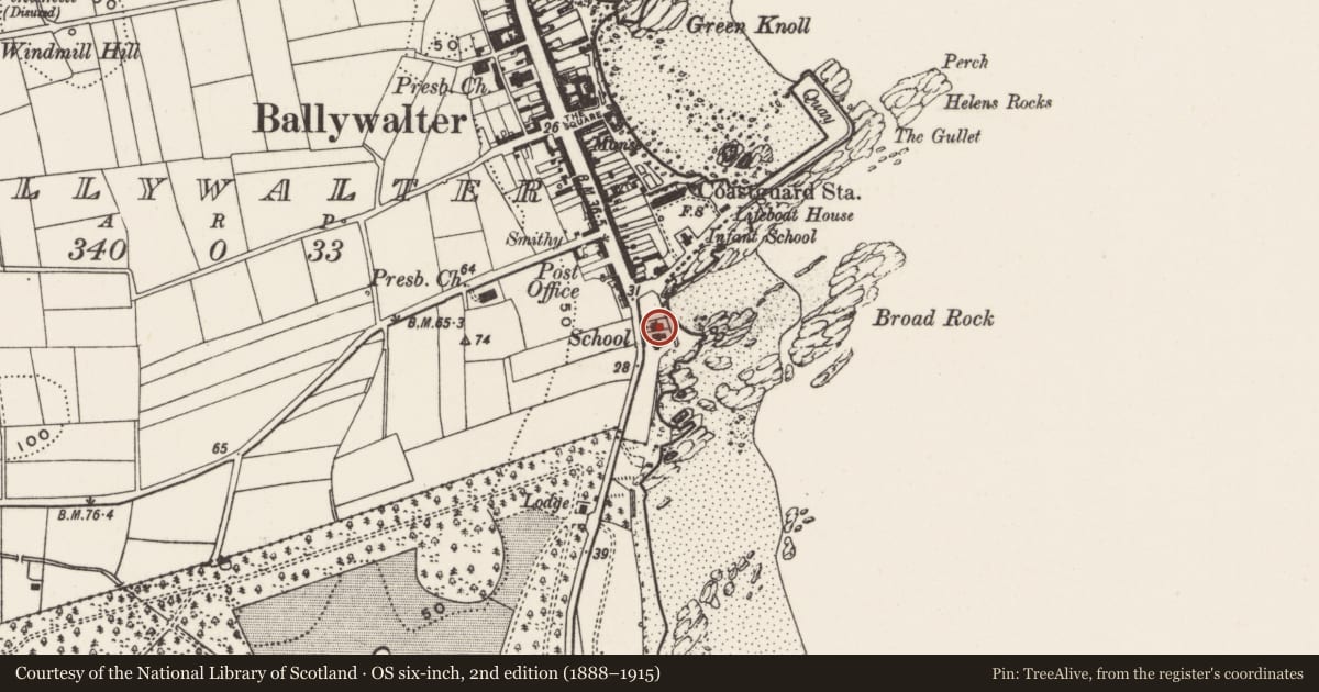 Ordnance Survey six-inch map, 2nd edition (1888–1915) covering the location of 2 Springvale Road, Ballywalter, Ards and North Down, with a pin at the register's coordinates