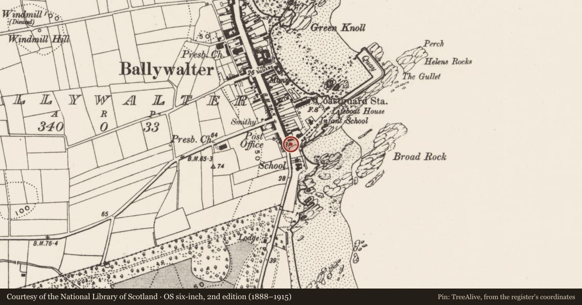 Ordnance Survey six-inch map, 2nd edition (1888–1915) covering the location of War Memorial, Ballywalter, Ards and North Down, with a pin at the register's coordinates