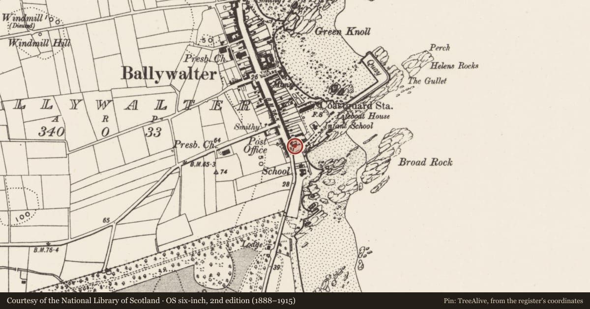 Ordnance Survey six-inch map, 2nd edition (1888–1915) covering the location of 1-3 Main Street, Ballywalter, Ards and North Down, with a pin at the register's coordinates