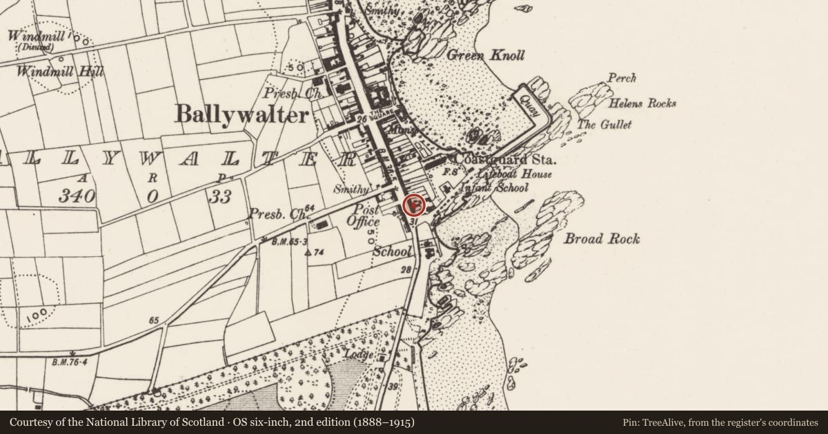 Ordnance Survey six-inch map, 2nd edition (1888–1915) covering the location of 5 Main Street, Ballywalter, Ards and North Down, with a pin at the register's coordinates