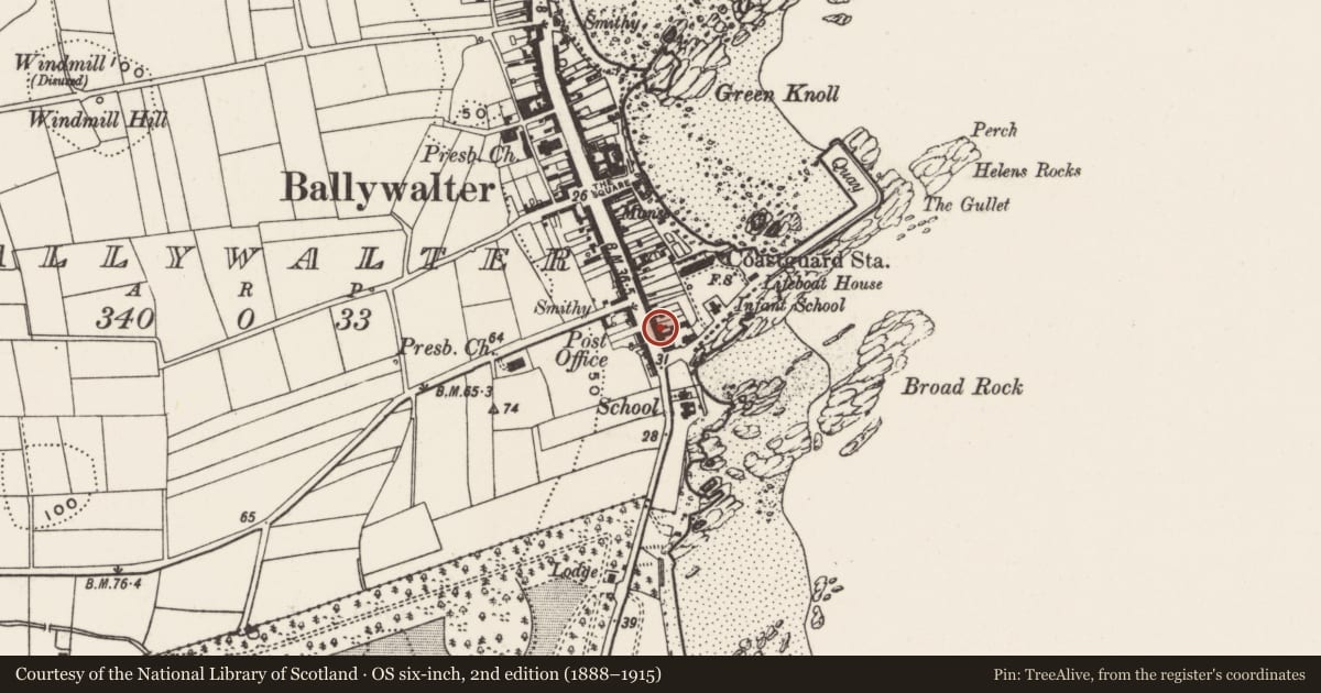 Ordnance Survey six-inch map, 2nd edition (1888–1915) covering the location of 7 Main Street, Ballywalter, Ards and North Down, with a pin at the register's coordinates