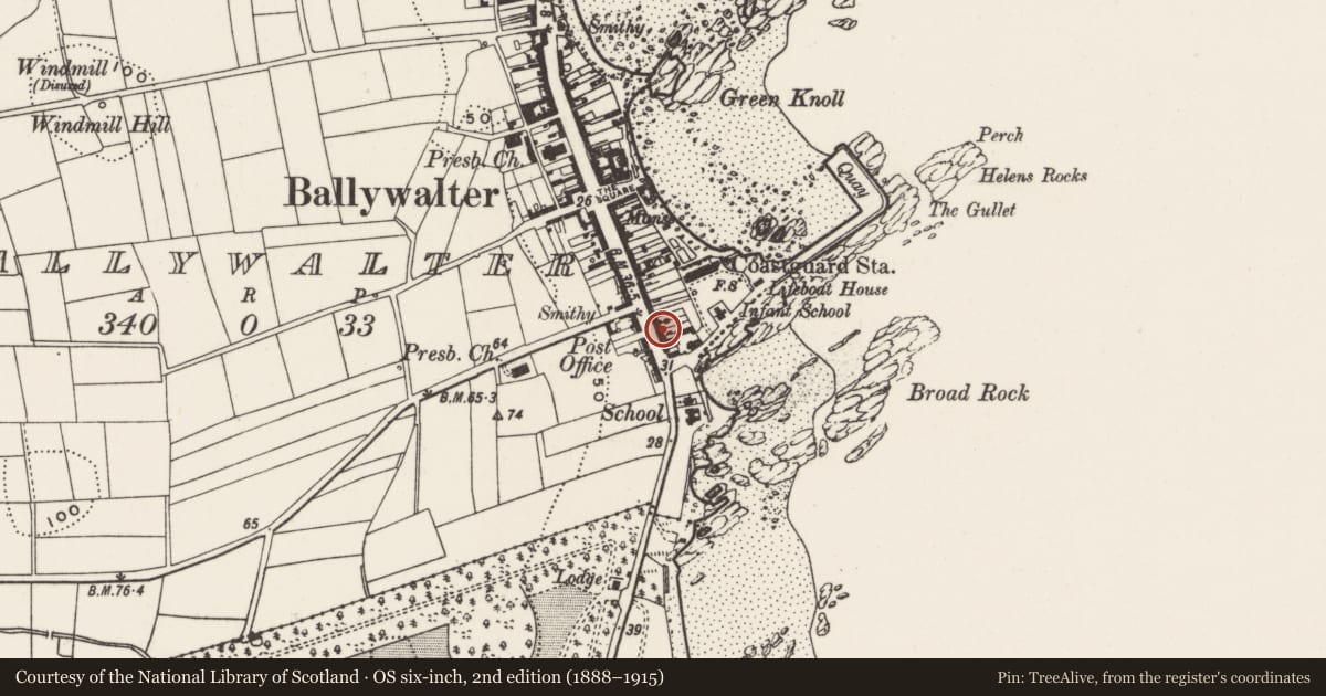 Ordnance Survey six-inch map, 2nd edition (1888–1915) covering the location of 9 Main Street, Ballywalter, Ards and North Down, with a pin at the register's coordinates
