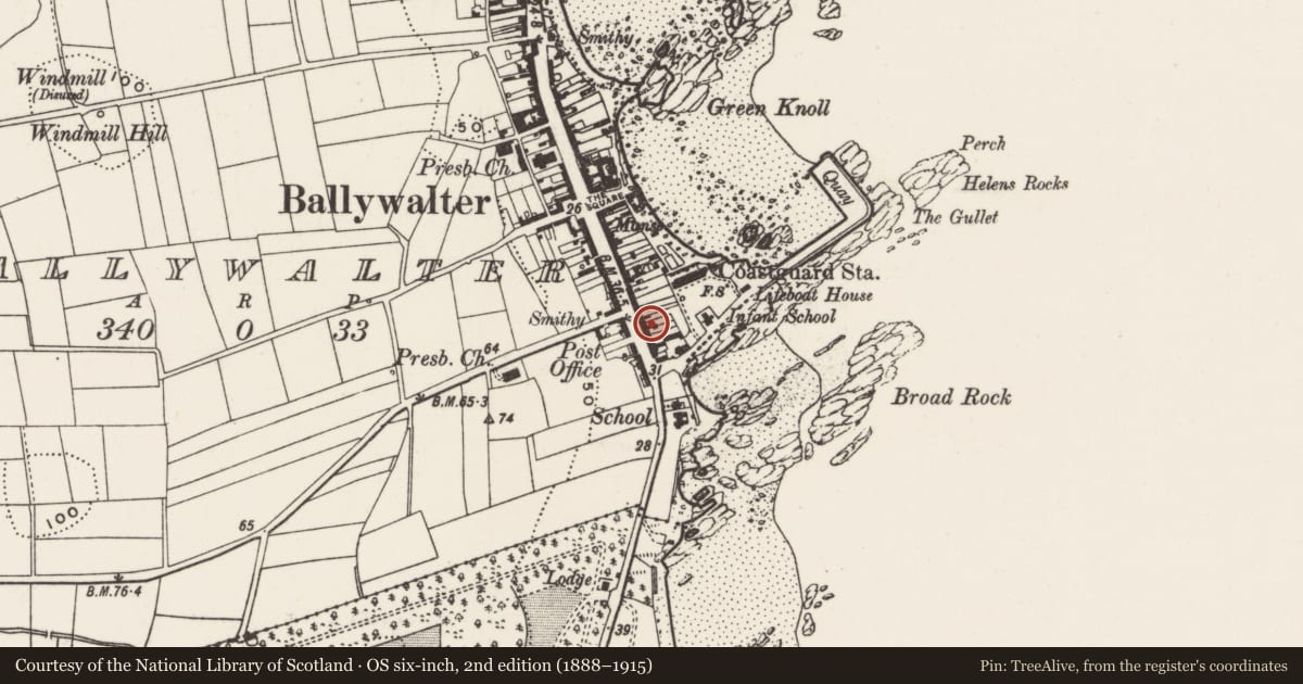Ordnance Survey six-inch map, 2nd edition (1888–1915) covering the location of 13 Main Street, Ballywalter, Ards and North Down, with a pin at the register's coordinates