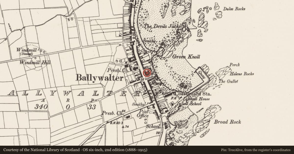 Ordnance Survey six-inch map, 2nd edition (1888–1915) covering the location of 69-71 Main Street, Ballywalter, Ards and North Down, with a pin at the register's coordinates