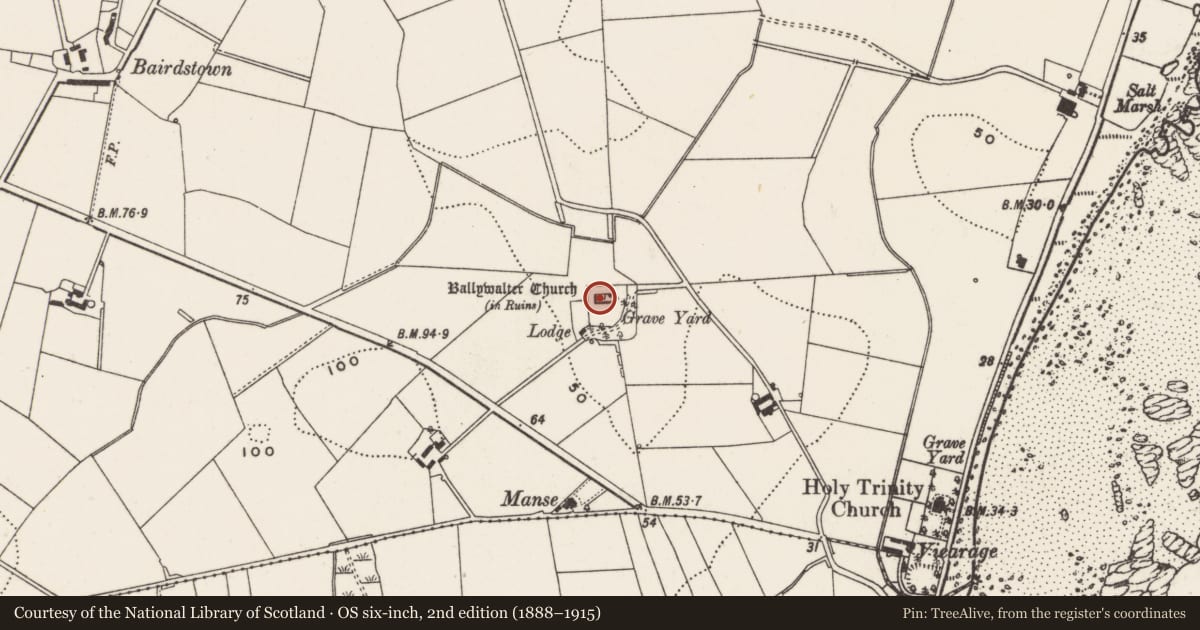 Ordnance Survey six-inch map, 2nd edition (1888–1915) covering the location of Ballywalter Church ruins, Whitechurch, Ards and North Down, with a pin at the register's coordinates