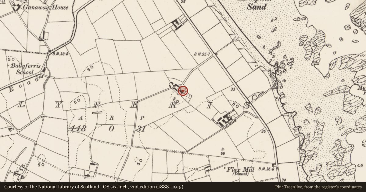 Ordnance Survey six-inch map, 2nd edition (1888–1915) covering the location of 186 Whitechurch Road, Ballyferis, Ards and North Down, with a pin at the register's coordinates