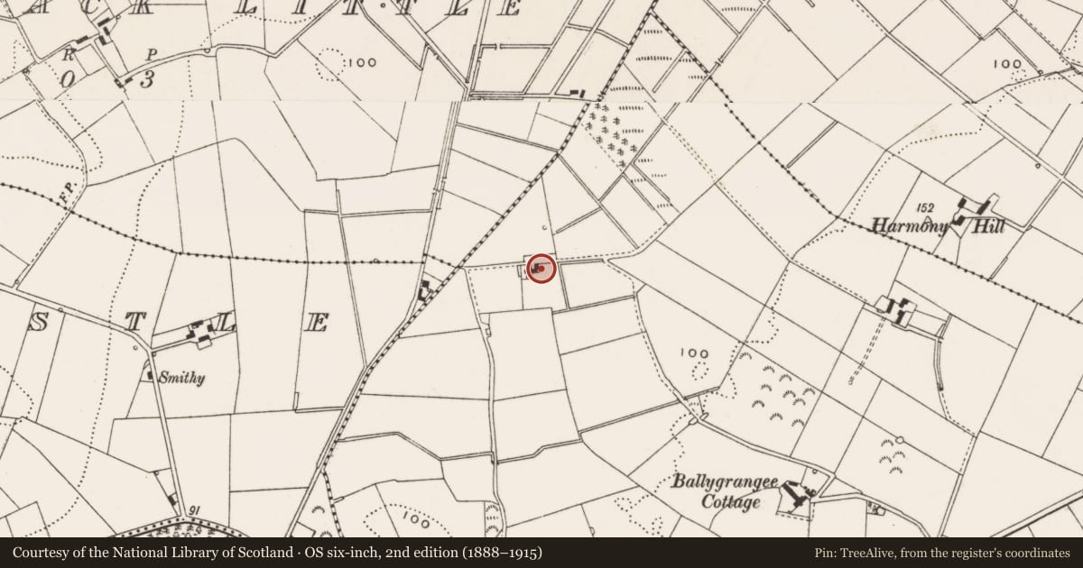 Ordnance Survey six-inch map, 2nd edition (1888–1915) covering the location of 94 Mountstewart Road, Ballygrangee, Ards and North Down, with a pin at the register's coordinates