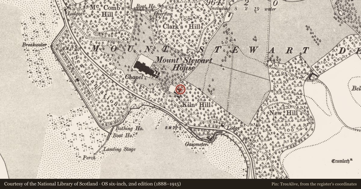 Ordnance Survey six-inch map, 2nd edition (1888–1915) covering the location of Stables at Mount Stewart, Ards and North Down, with a pin at the register's coordinates