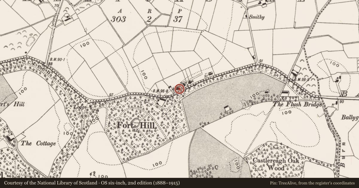 Ordnance Survey six-inch map, 2nd edition (1888–1915) covering the location of 48-50 Mountstewart Road, Ballycastle, Ards and North Down, with a pin at the register's coordinates