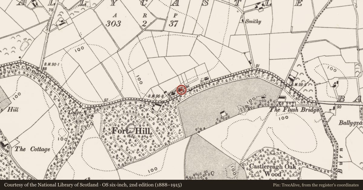 Ordnance Survey six-inch map, 2nd edition (1888–1915) covering the location of 52-54 Mountstewart Road, Ballycastle, Ards and North Down, with a pin at the register's coordinates