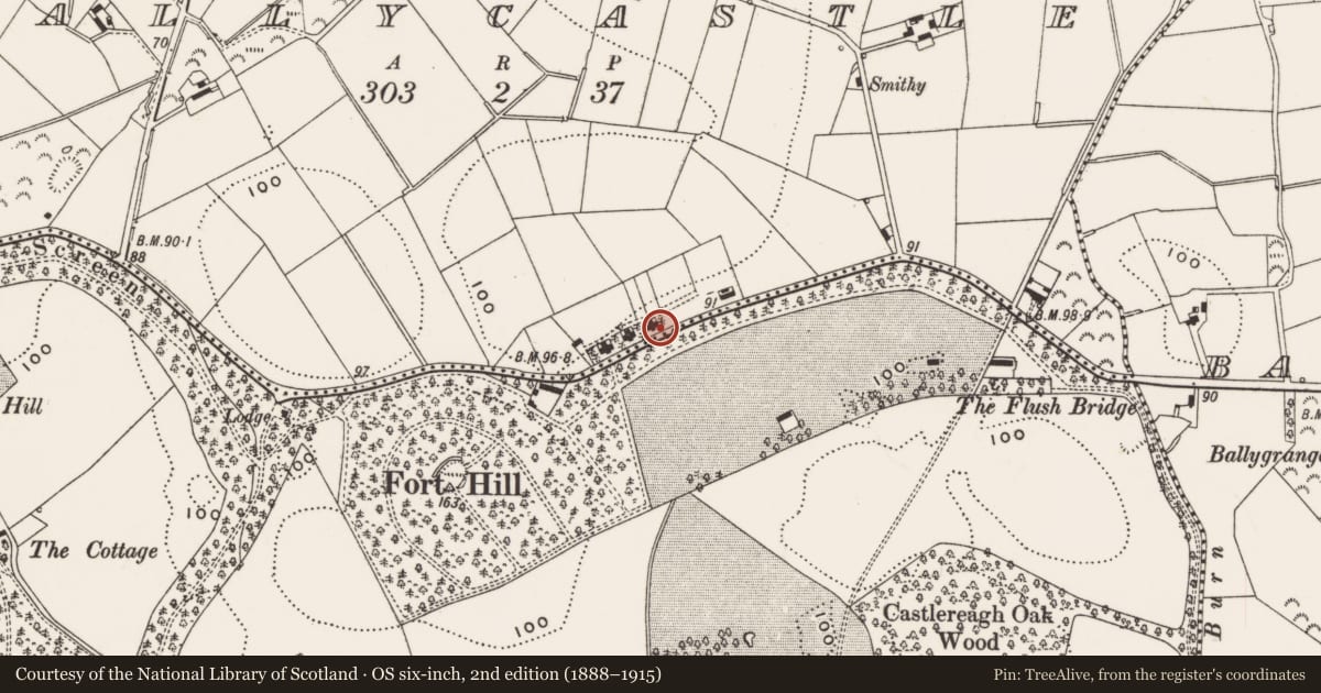 Ordnance Survey six-inch map, 2nd edition (1888–1915) covering the location of 56-58 Mountstewart Road, Ballycastle, Ards and North Down, with a pin at the register's coordinates