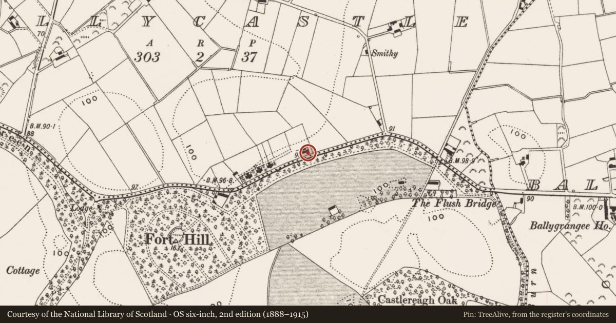 Ordnance Survey six-inch map, 2nd edition (1888–1915) covering the location of 60-62 Mountstewart Road, Ballycastle, Ards and North Down, with a pin at the register's coordinates