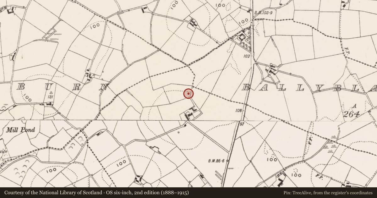 Ordnance Survey six-inch map, 2nd edition (1888–1915) covering the location of 10 Ballycastle Road, Ards and North Down, with a pin at the register's coordinates