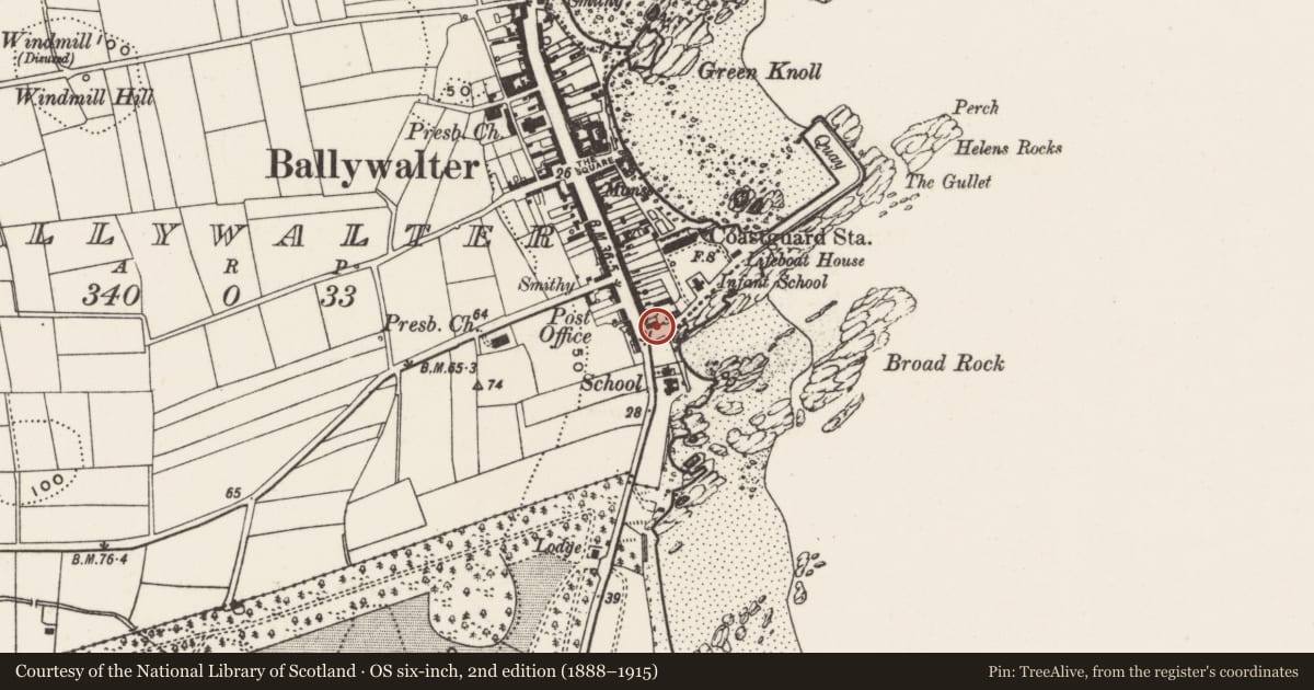 Ordnance Survey six-inch map, 2nd edition (1888–1915) covering the location of 1-3 Harbour Road, Ballywalter, Ards and North Down, with a pin at the register's coordinates