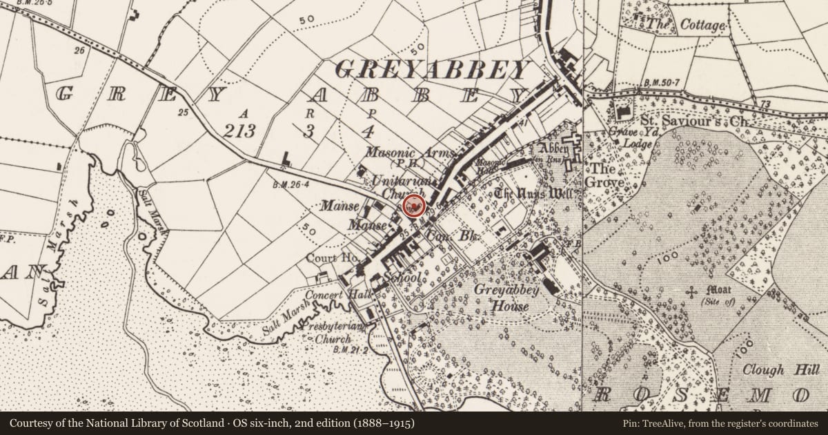 Ordnance Survey six-inch map, 2nd edition (1888–1915) covering the location of Trinity Presbyterian Church, Greyabbey, Ards and North Down, with a pin at the register's coordinates