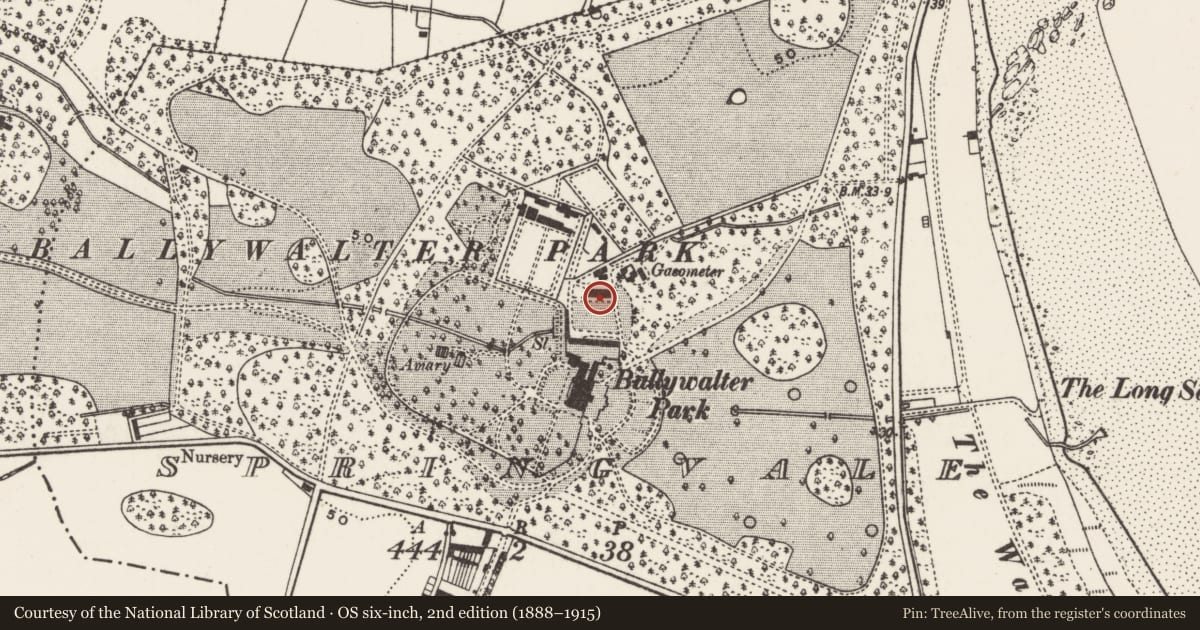 Ordnance Survey six-inch map, 2nd edition (1888–1915) covering the location of The Albany, Springvale, Ards and North Down, with a pin at the register's coordinates