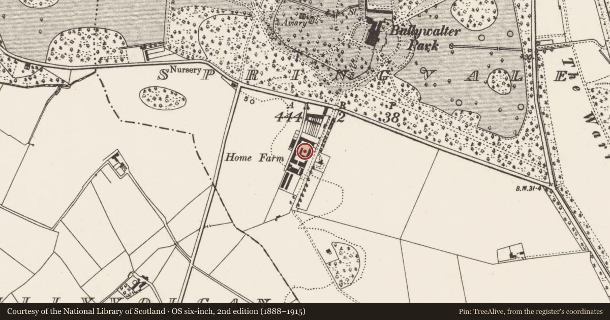 Ordnance Survey six-inch map, 2nd edition (1888–1915) covering the location of Home farm, Springvale, Ards and North Down, with a pin at the register's coordinates
