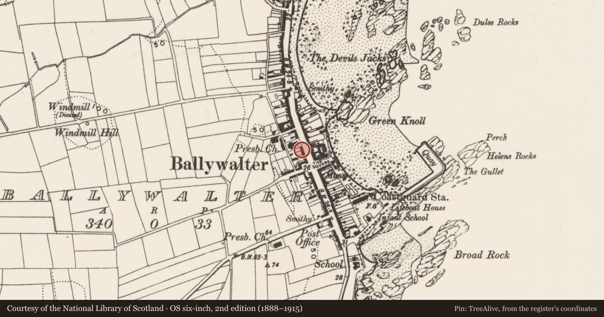 Ordnance Survey six-inch map, 2nd edition (1888–1915) covering the location of Former Dunleath Arms, Ballywalter, Ards and North Down, with a pin at the register's coordinates