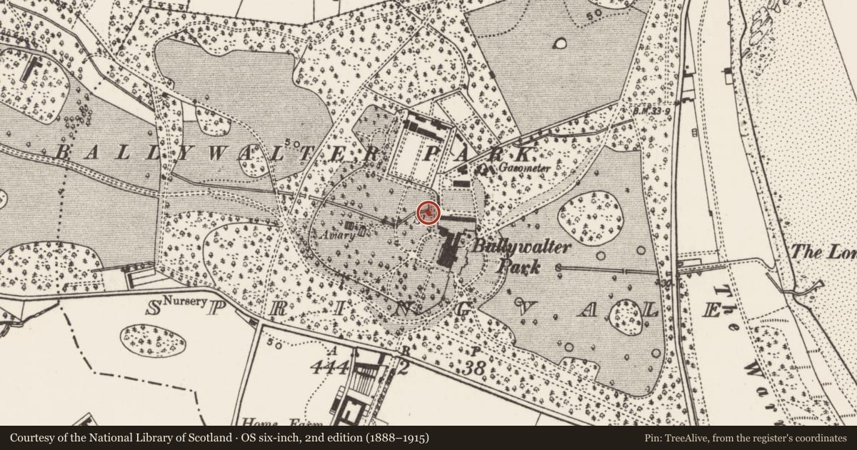 Ordnance Survey six-inch map, 2nd edition (1888–1915) covering the location of Culvert face and bridge, Springvale, Ards and North Down, with a pin at the register's coordinates