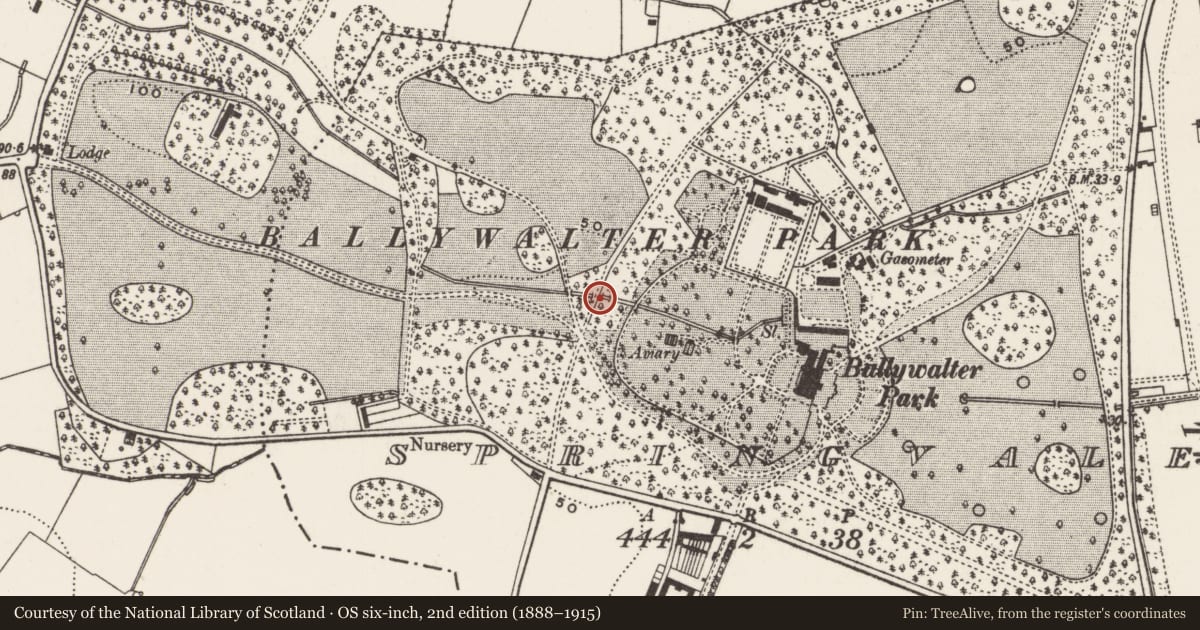Ordnance Survey six-inch map, 2nd edition (1888–1915) covering the location of Bridge, Springvale, Ards and North Down, with a pin at the register's coordinates