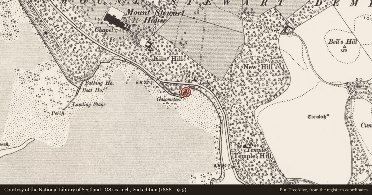 Ordnance Survey six-inch map, 2nd edition (1888–1915) covering the location of Old gas works at Mount Stewart, Ards and North Down, with a pin at the register's coordinates